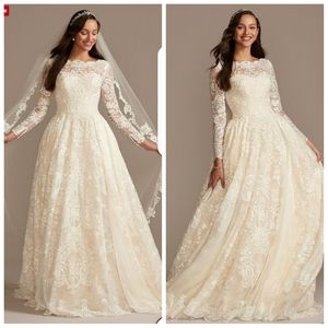 Sleevless wedding ball gown with cathedral veil